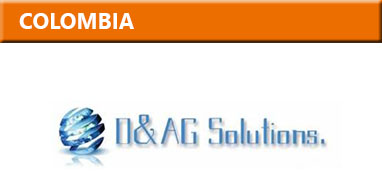 D&AG Solutions